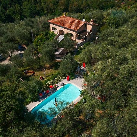 Casa Del Sole Bed and Breakfast Camaiore Eksteriør billede