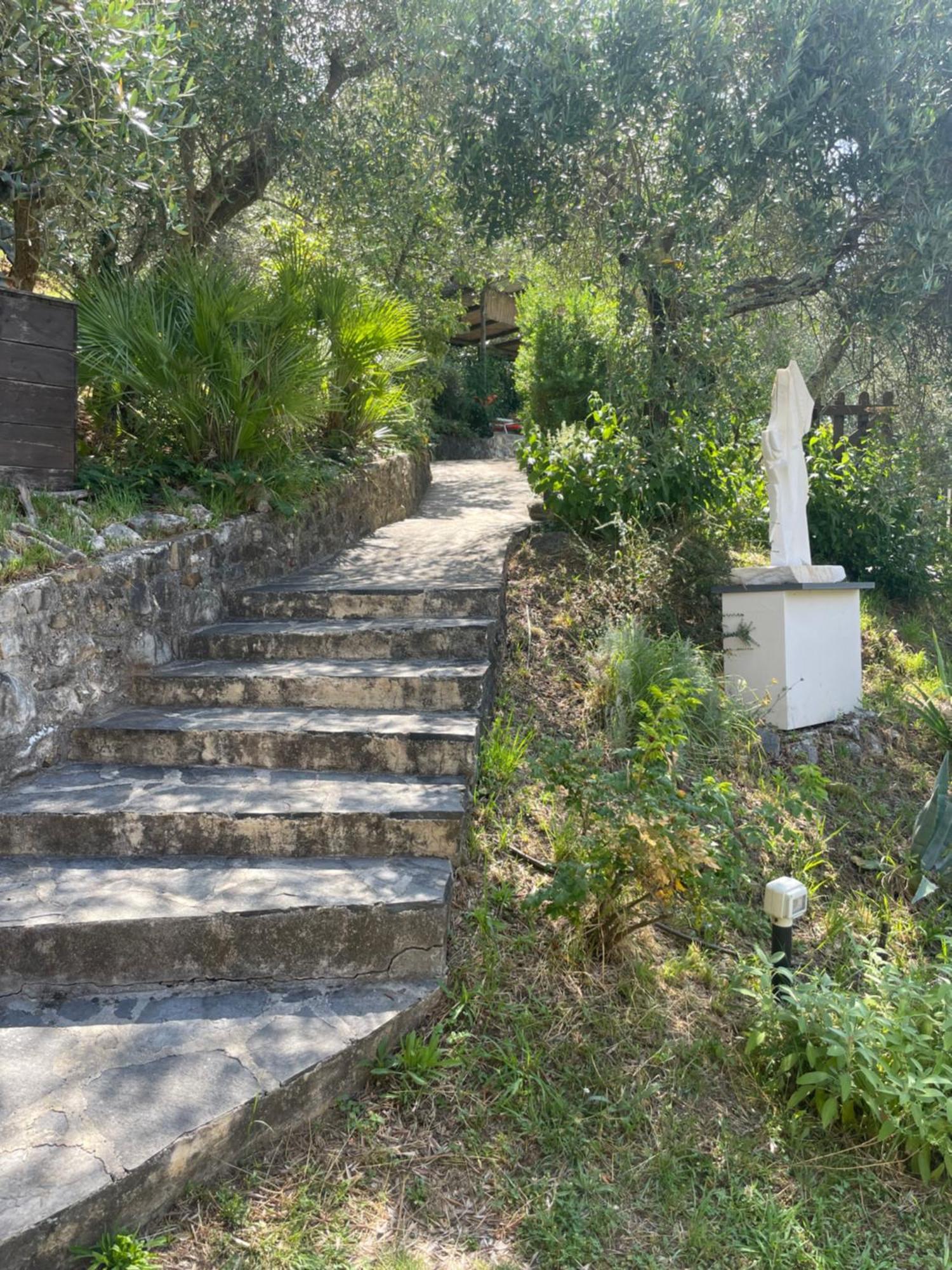 Casa Del Sole Bed and Breakfast Camaiore Eksteriør billede