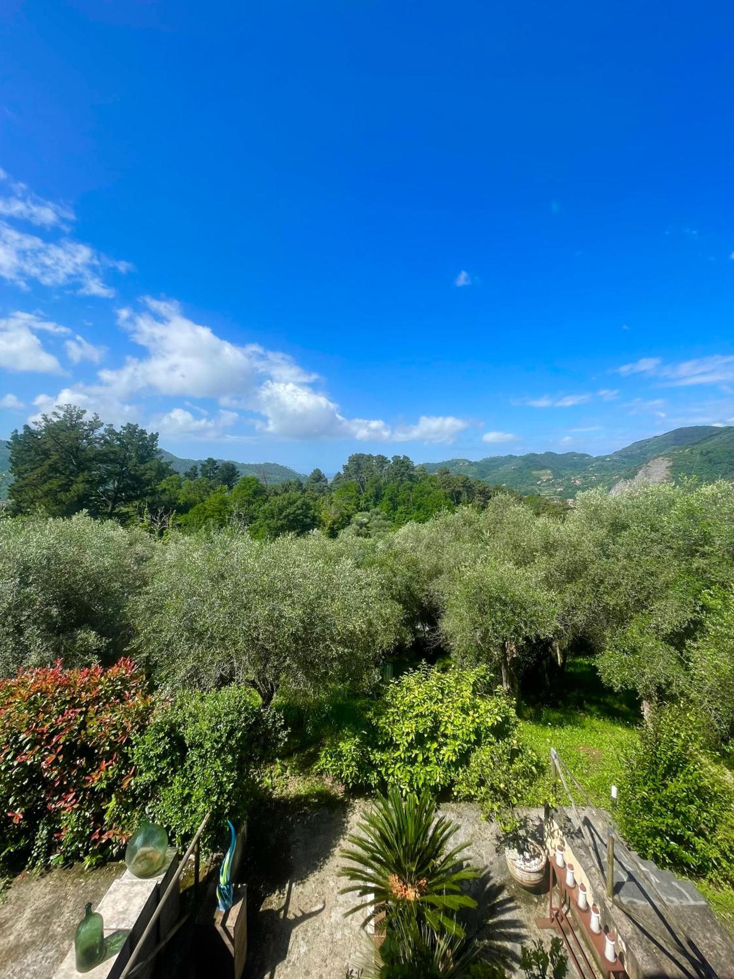 Casa Del Sole Bed and Breakfast Camaiore Eksteriør billede